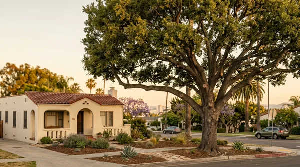 Team Long Beach Tree Service in Long Beach